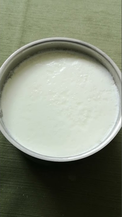Delicious Yoghurt Made at Home Florida USA. Delicioso yogur hecho en casa, Florida, EE. UU.