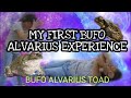 MY FIRST BUFO ALVARIUS(5Meo-DMT) EXPERIENCE~Bufo alvarius toad~medicine~Eivon NYC