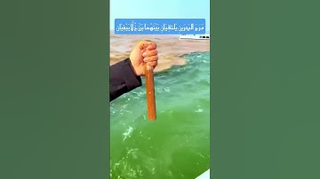 مَرَجَ البَحرَينِ يَلتقِيَانِ بَيْنَهُمَا بَرْزَخٌ لَّا يَبْغِيَانِ تلاوة هادئة #قرآن #تلاوة_خاشعة #