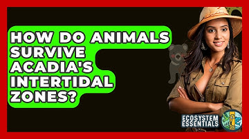 How Do Animals Survive Acadia