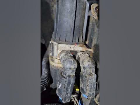 def light blinking freightliner m2 and fault 5865 repair. #mechanics #