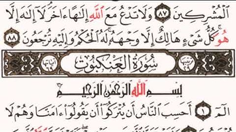 الصفحة رقم 396 الشيخ ماهر المعيقلي - القرآن الكريم - Quran