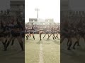ビッグブルーチアリーダーの2025ハーフタイムショー!振付ました。#チアダンス #大人ダンス #大人チア #オンラインチアダンス