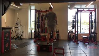 SL Depth Drop to Lateral Box Jump