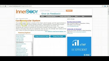 Using Canvas in Hybrid Classes