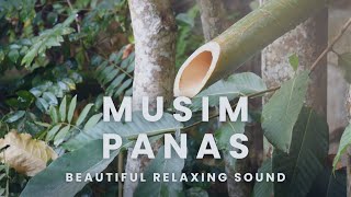 1 Hour Instrumental Music for Meditation and Relaxing | Musim Panas Vibes