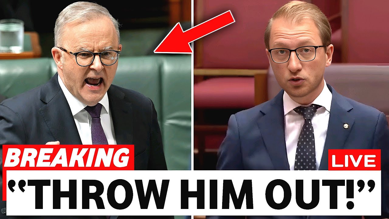 Anthony Albanese LOST His TEMPER After James Paterson DESTROYS him On Bondi terror..