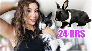 24 Hours In the Life of a Bunny Foster Mom!