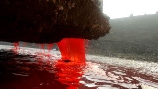 Mystery of Antarctica's Blood Falls finally solved HD video Image of Mystery of Antarctica's Blood Falls finally solved HD video