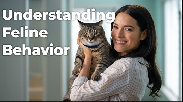 Decode Your Cat