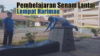 Floor gymnastics tiger jump #floorgymnastics