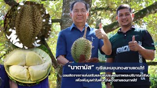 สถาบันปิดทองหลังพระฯ ช่วยชาวสวนทุเรียนชายแดนใต้ ปรับปรุงคุณภาพ เพิ่มผลผลิตและมูลค่า