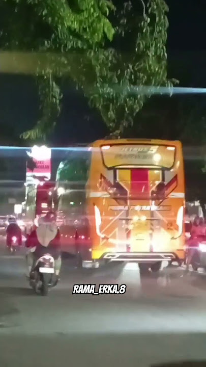 Basuri chill bill kebalik bus jb5 prima putra trans Queen Leona #basuri #foryou #basurikebalik #fyp