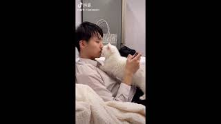 #20 - Cats from Tiktok China Episode 3 [Douyin Compilation]