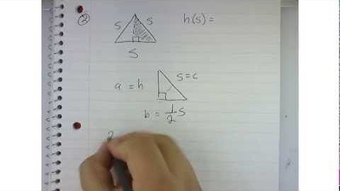 AP Calculus - 1.2 - Functions and Graphs # HW 2