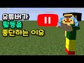 유튜버가 활동을 중단하는 이유 -마인크래프트 애니메이션