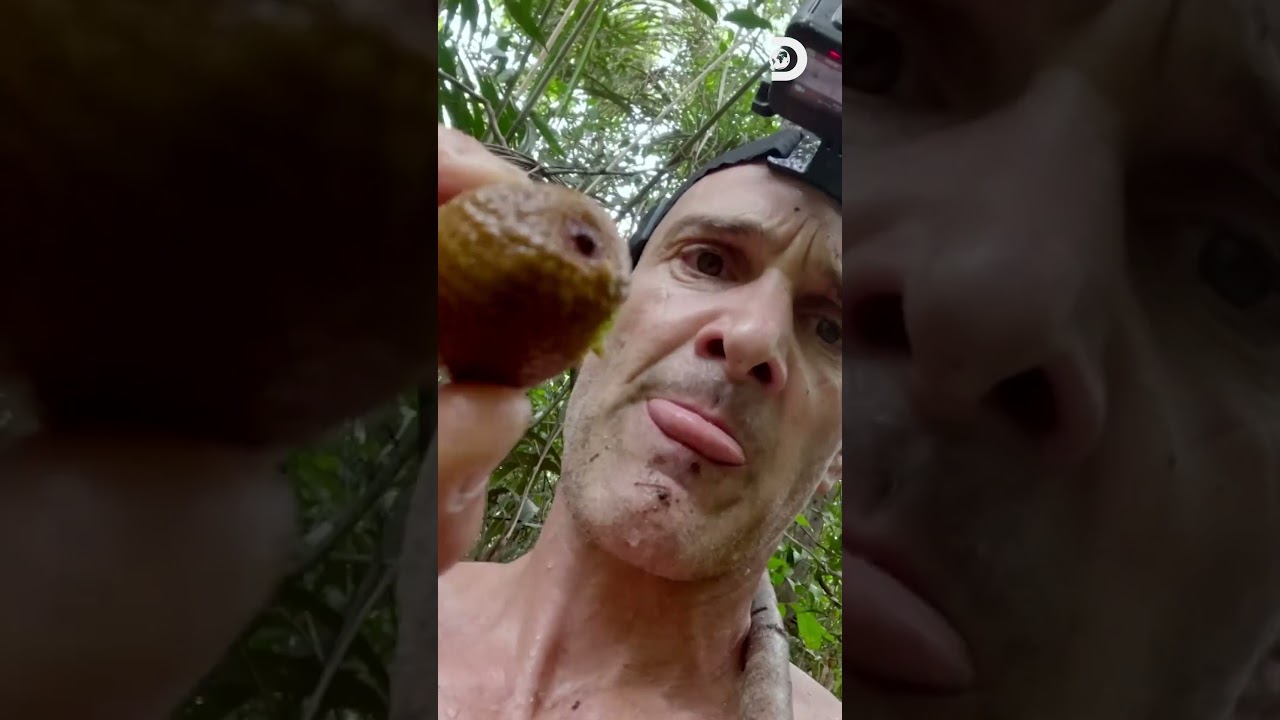 Même les plus grands aventuriers font une pause snack. 🌿