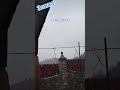 #карпати #україна