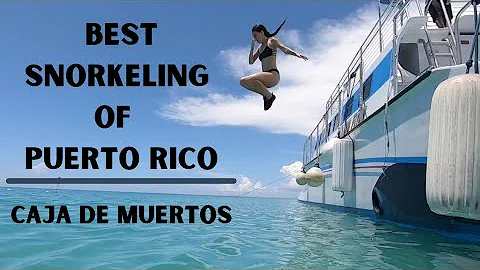 BEST SNORKELING IN PUERTO RICO?!