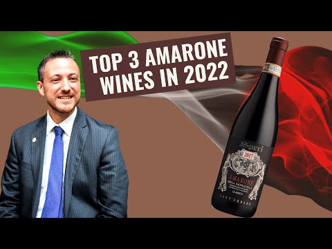 købmand Verdensrekord Guinness Book Aske Top 3 Italian Amarone wines in 2022 (Discover the best Amarone producers) -  YouTube