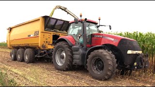 Download Lagu Maïs 2025 | Case IH Magnum 370 | USA Equipment | Tatra Agrotruck | Claas Jaguar 970 | Corn harvest MP3