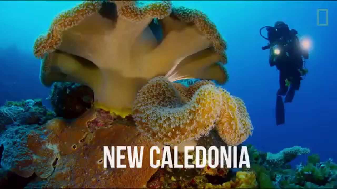 national geographic magazine app Pristine Seas: Journey to the Ocean's Last Wild Places