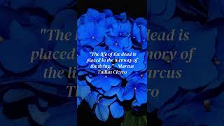 50 Timeless & Inspirational Quotes for Orbituary or Euology #LifeQuotes