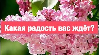 Свежий ветер избранных пьянил, с ног сбивал, из мертвых воскрешал🥰🌎🍀