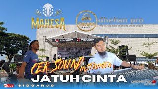 CEK SOUND - MAHESA MUSIC - JATUH CINTA - LIVE SIDOARJO