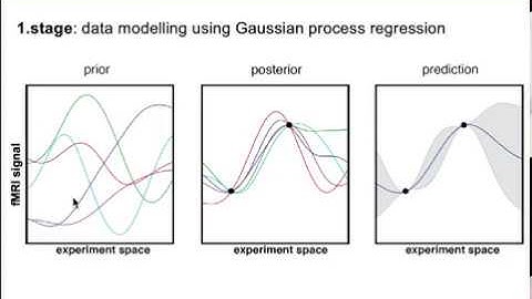 Neuroadaptive Bayesian optimization for cognitive neuroscientists (Dr. Romy Lorenz)
