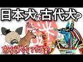 日本犬は古代犬か？〜分類された古代犬の謎を探る〜犬の遺伝子解析の矛盾