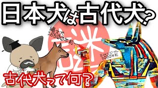 日本犬は古代犬か？〜分類された古代犬の謎を探る〜犬の遺伝子解析の矛盾