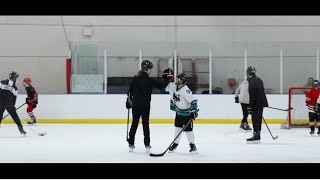 Central Illinois Courage - Hockey Is For Everyone
