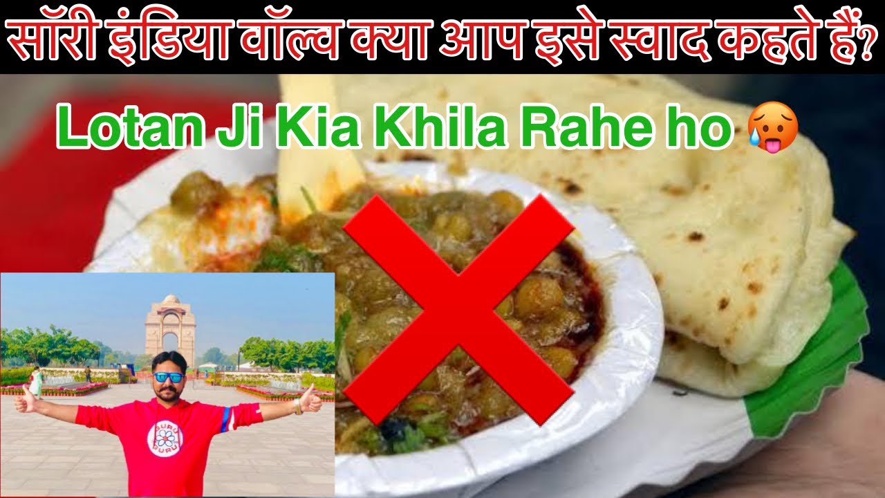 Bad Experience Lotan Ji Chole Kulche | India Gate Delhi | Bharat Yatra P8