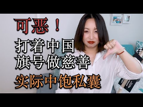 Storytime-在国外打着中国的旗号做慈善，实际上却是为了一己私利|Linda讲故事-Fake Charity Attempt[MsLindaY]