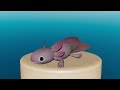 Idle Axolotl