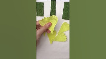 Làm Hoa Cát Tường Từ Giấy Nhún -  Making Agarwood Flowers From Shredded Paper