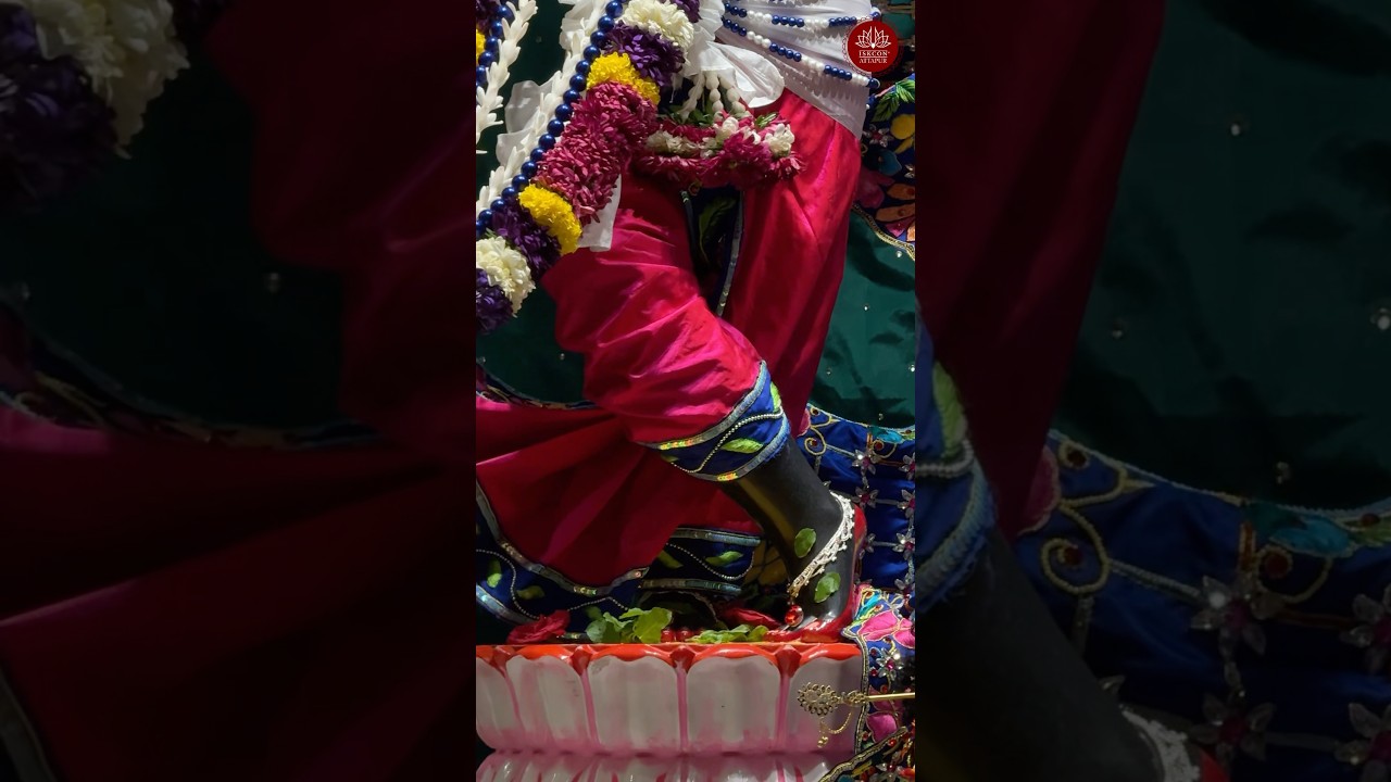 🌸Today’s Special Darshan 22nd Aug 2025 🌸Sri Sri Radha Madhava Mandir ISKCON Attapur #iskcon #darshan