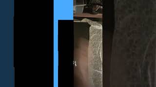 vídeo do avião EMBRAER 195. E2 pousando