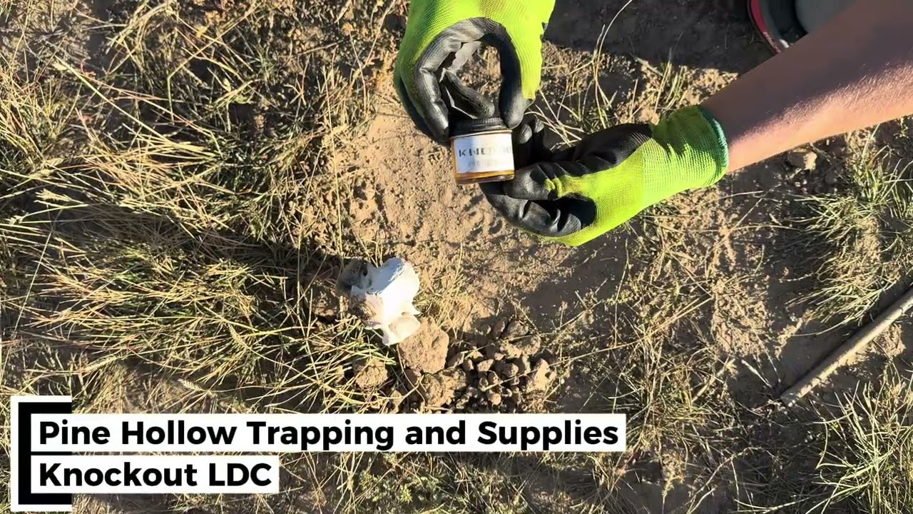 DID I JUST GET MY BADGER RUG?!?!