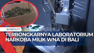 Laboratorium Narkoba Milik WNA di Villa Canggu Bali, Produksi Ganja Hidroponik dan Mephedrone