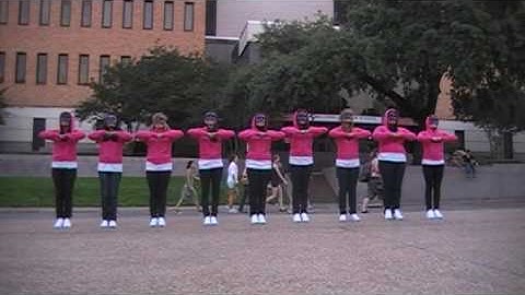 Sigma Lambda Gamma: UT Spring 2009 Probate [2 of 8]