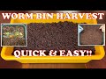 Easy Way to Harvest a Worm Tower   New Feeding & Cocoon Nursery Start | Vermicompost Worm Farm