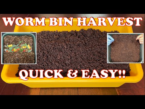 Easy Way to Harvest a Worm Tower + New Feeding & Cocoon Nursery Start | Vermicompost Worm Farm