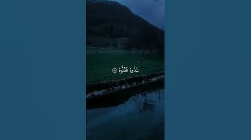 قران كريم بصوت جميل وهدا يريح القلب 🤍#قرآن #مقاطع_دينية #راحة_نفسية