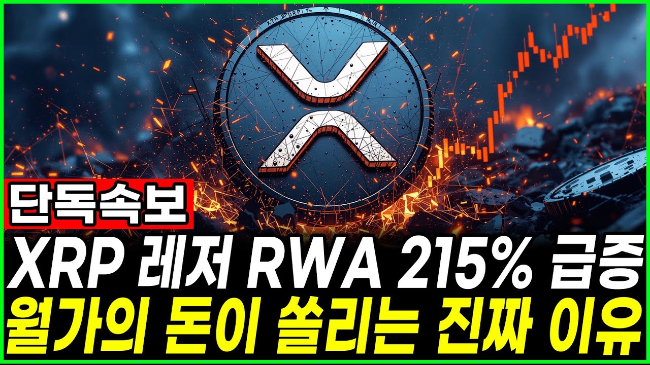 [리플 전망]XRP 레저 RWA 215% 급증! 월가의 돈이 쏠리는 진짜 이유 - YouTube