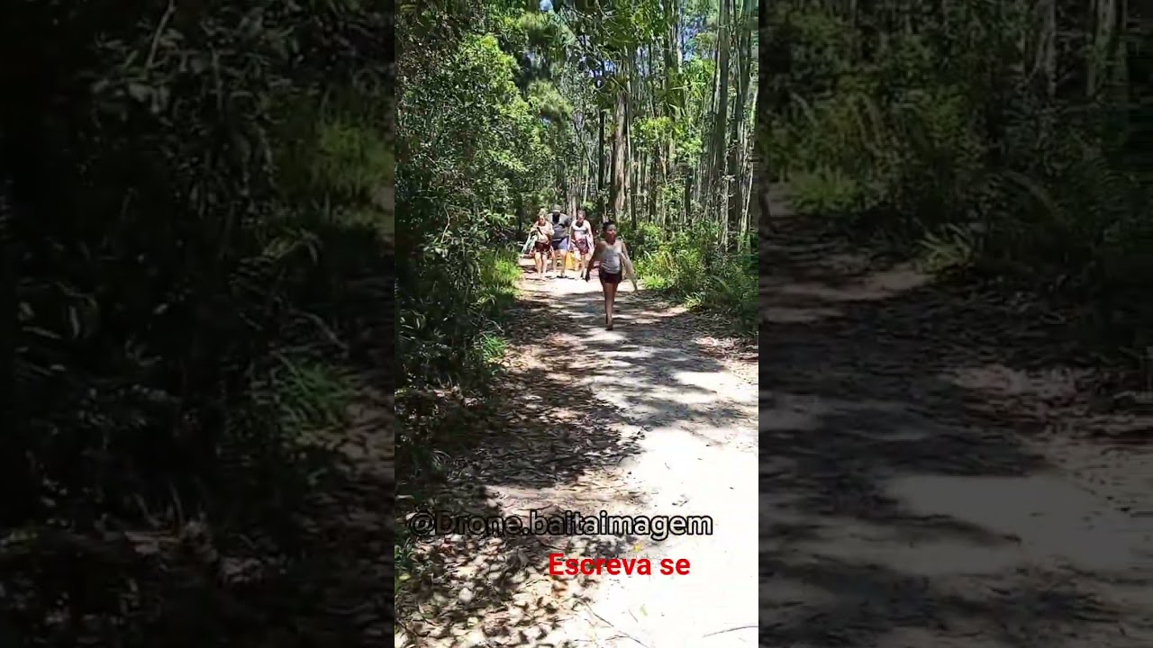 Praia Do Moçambique Fundo Do Camping Rio Vermelho