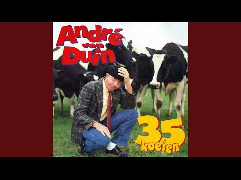 35 Koeien