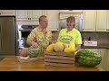Melons, oral health and 50 years of the Davis Farmers Market | What's in Season with Michael Marks