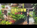 세종시 뚜벅이 당일치기 여행코스 Best 4✨세종시 가볼만한곳💡국내 여행지 추천‼️국립세종수목원, 세종호수공원, 헤이믈, 베어트리파크🧸